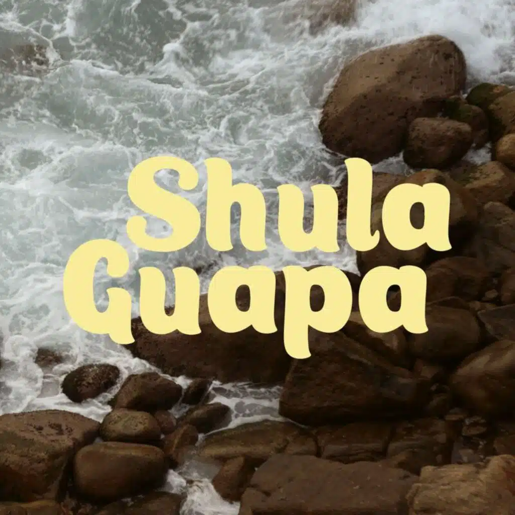 Shulaguapa (feat. El David Aguilar)