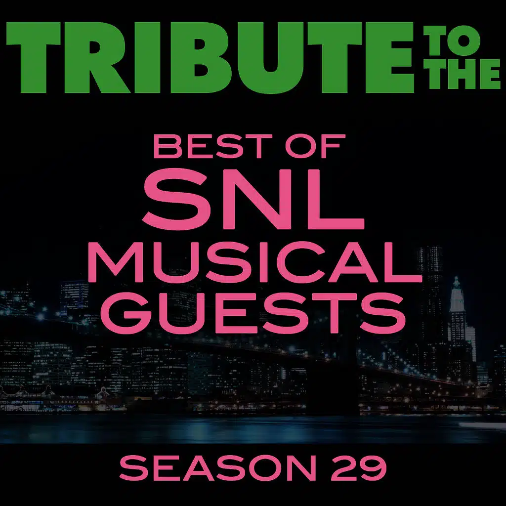 Tribute to the Best of SNL Musical Guests Season 29