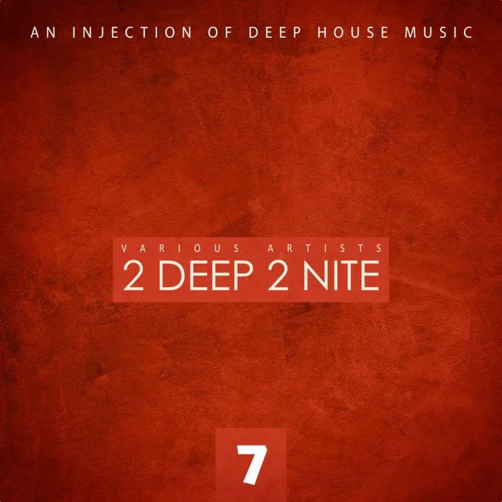 2 Deep 2 Nite, Vol. 7