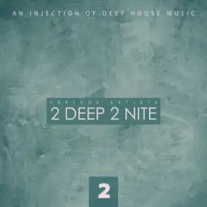 2 Deep 2 Nite, Vol. 2