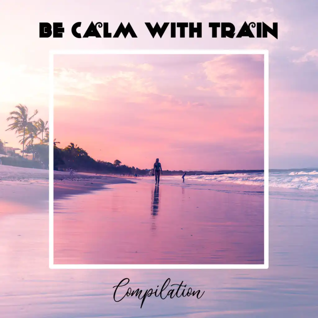 Be Calm With Train Compilation