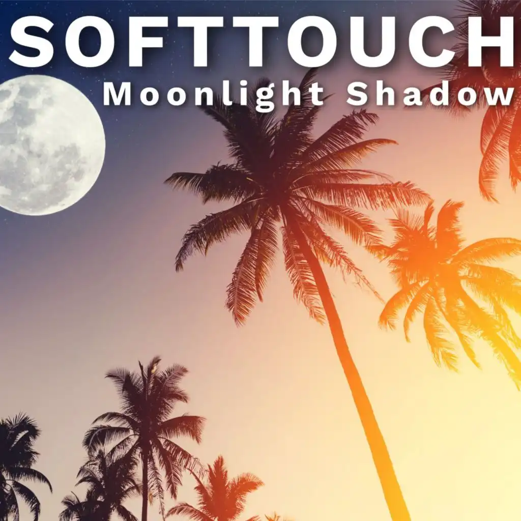 Moonlight Shadow (Radio Edit)