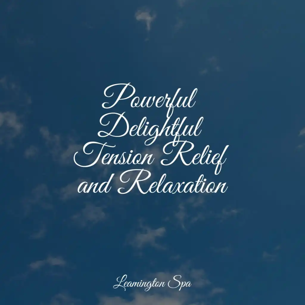 Welness and Calmness