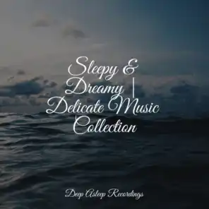 Sleepy & Dreamy | Delicate Music Collection