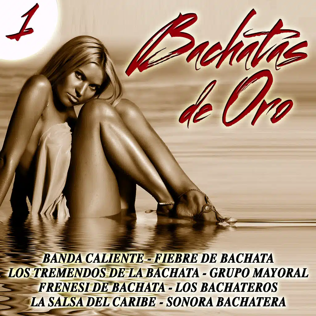 Bachatas de Oro Vol. 1
