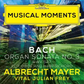 J.S. Bach: Organ Sonata No. 3 in D Minor, BWV 527 - III. Vivace (Adapt. for Oboe and Harpsichord by Mayer and Frey)