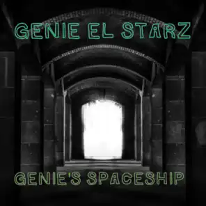 Genie's Spaceship