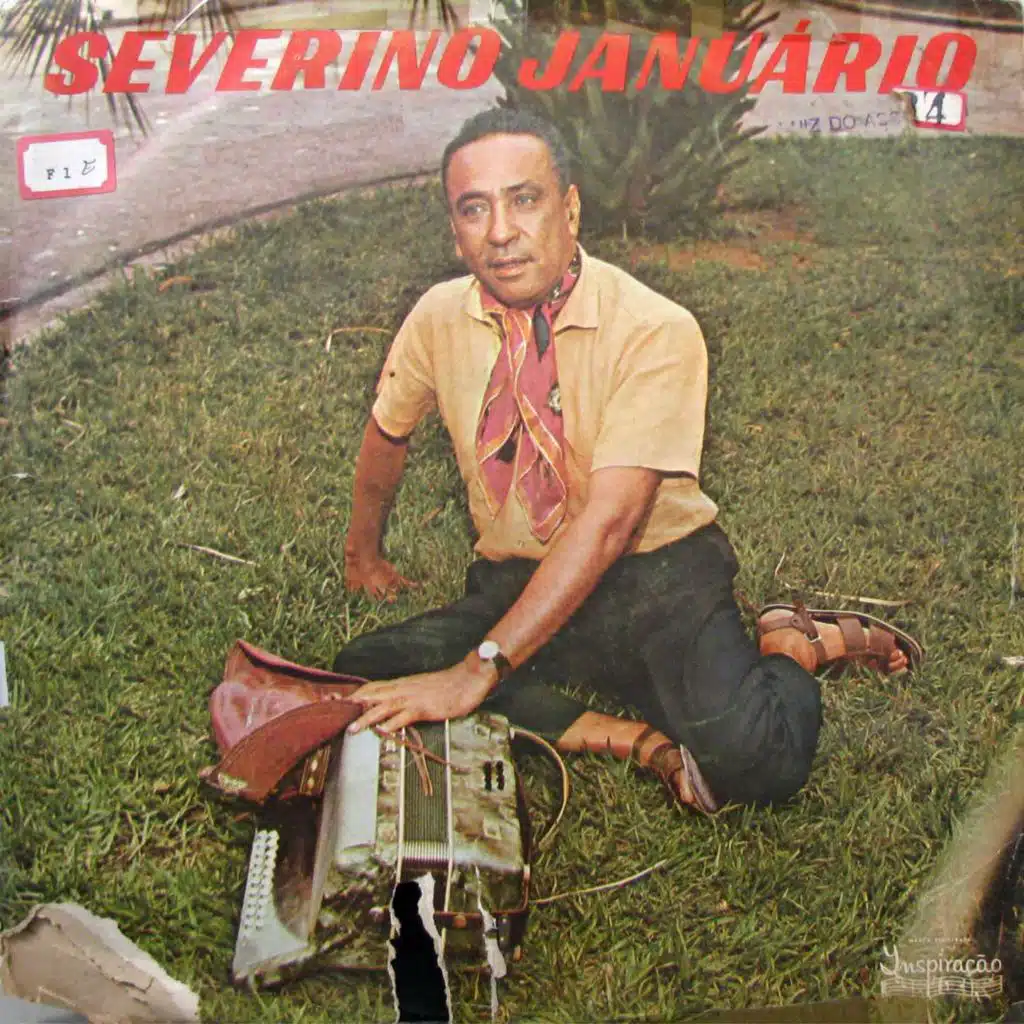 Sanfoneiro do povo