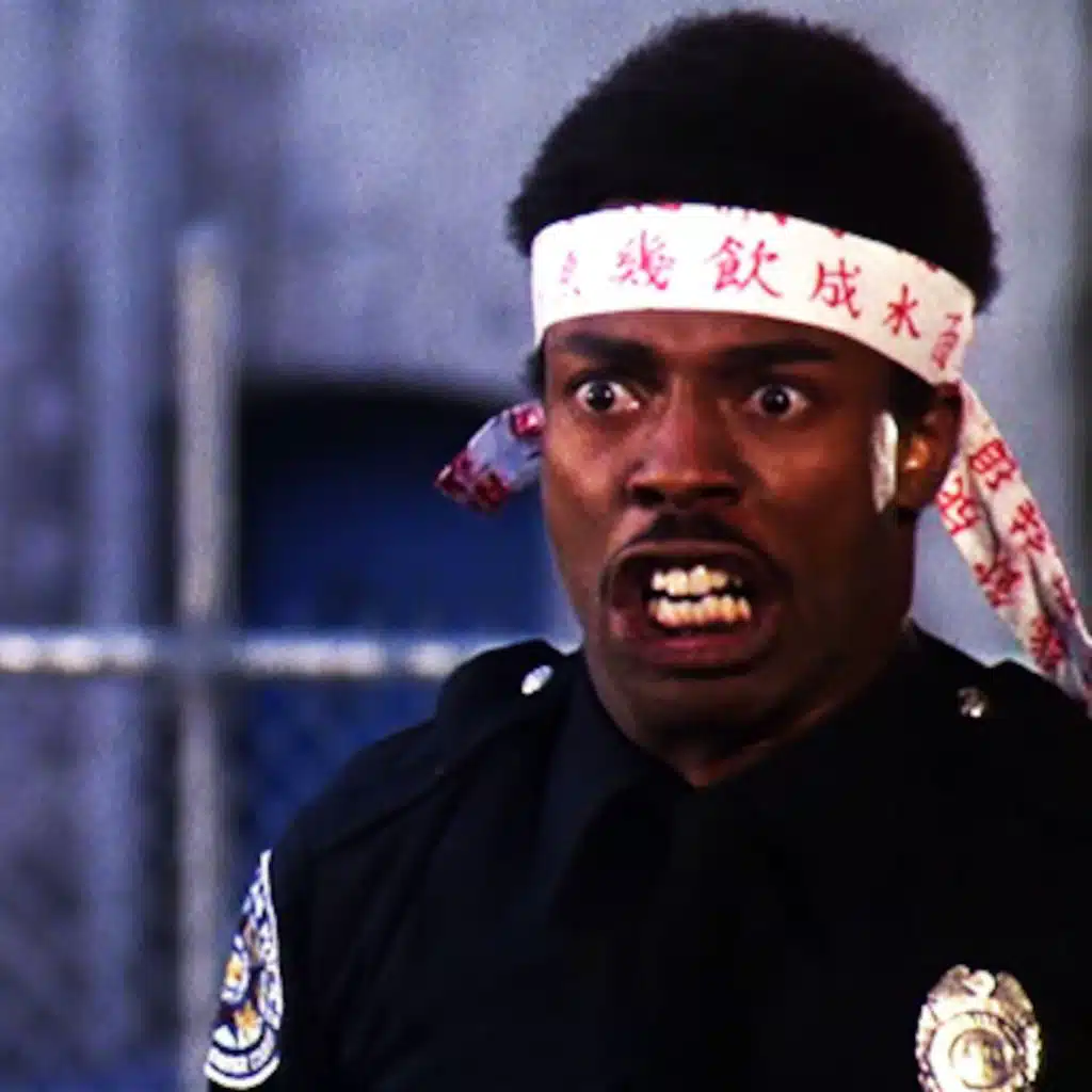 Police Academy 2:Their First Assignment (1985)