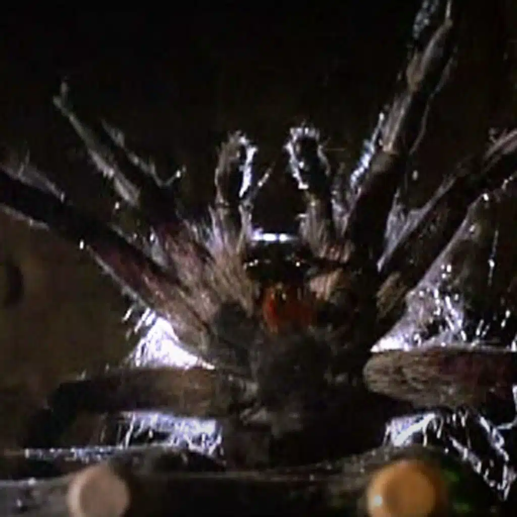 Arachnophobia (1990)