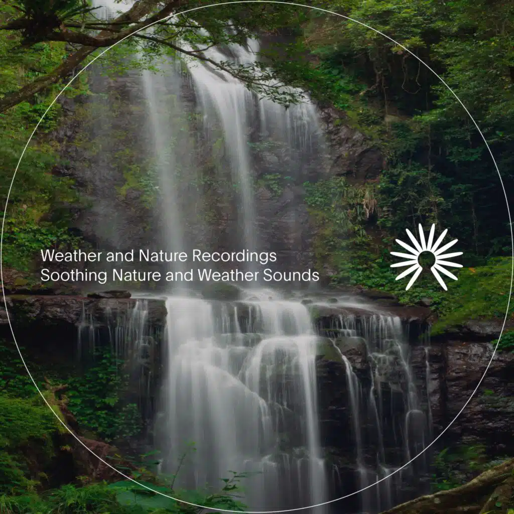 Soothing Nature and Weather Sounds