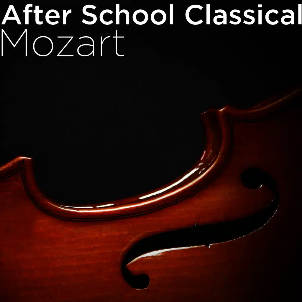 Sarah Ainsworth, Piano & The Royal Festival Orchestra, Conducted By William Bowles