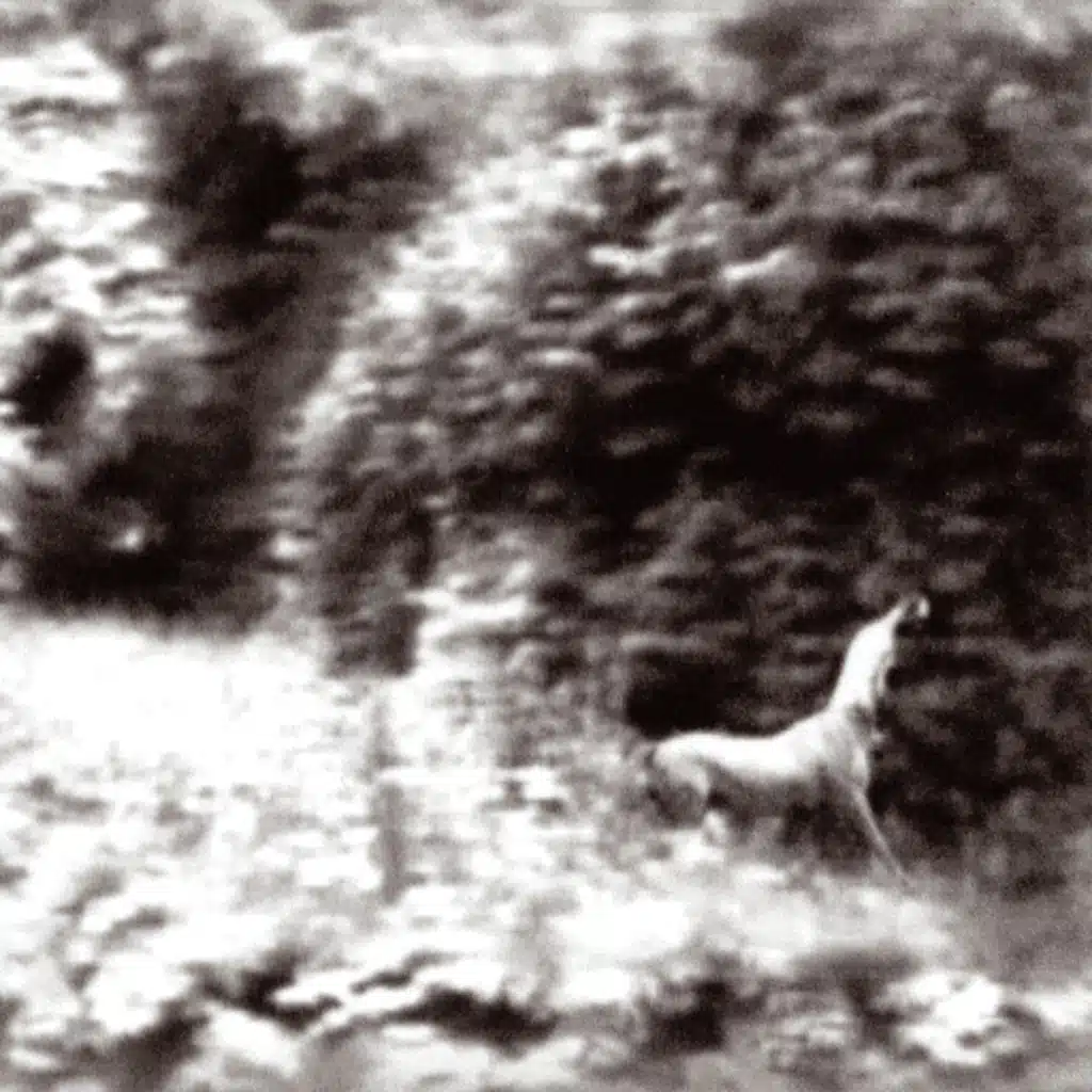 Big Moon (Alternate Version) [Bonus Track]