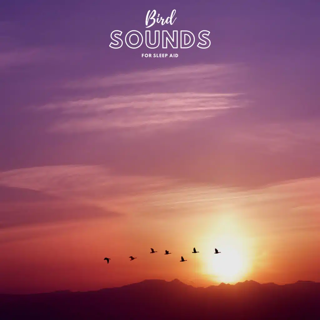 Bird Sounds For Sleep Aid