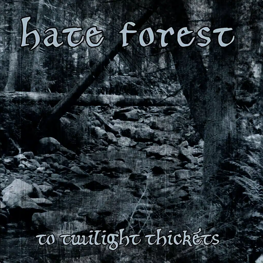 To Twilight Thickets