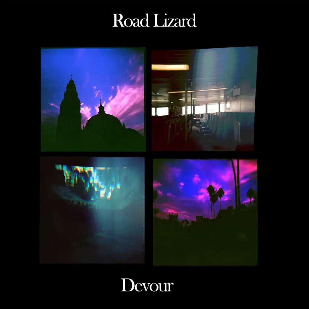 Road Lizard