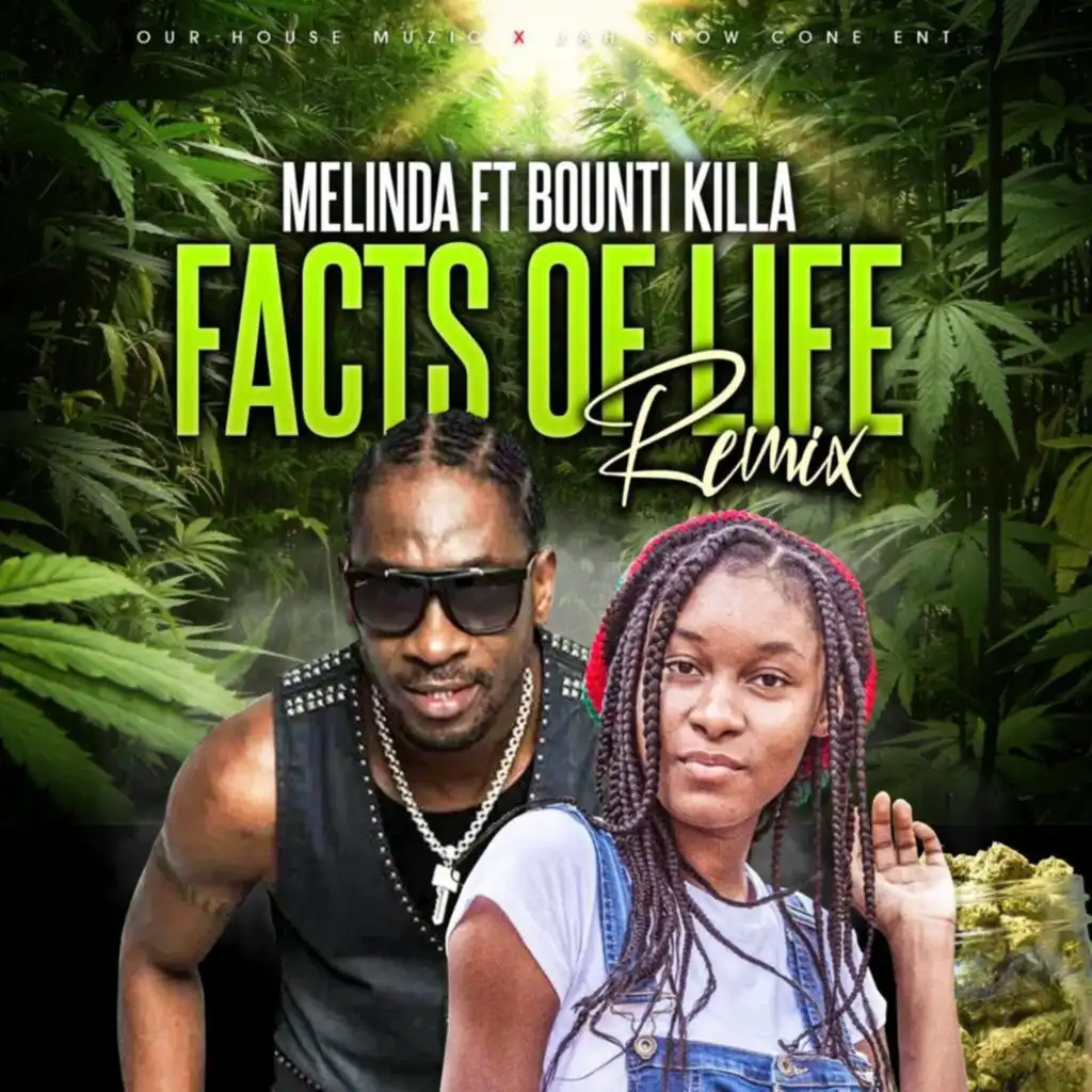 Facts of Life (Remix) [feat. Bounty Killer]