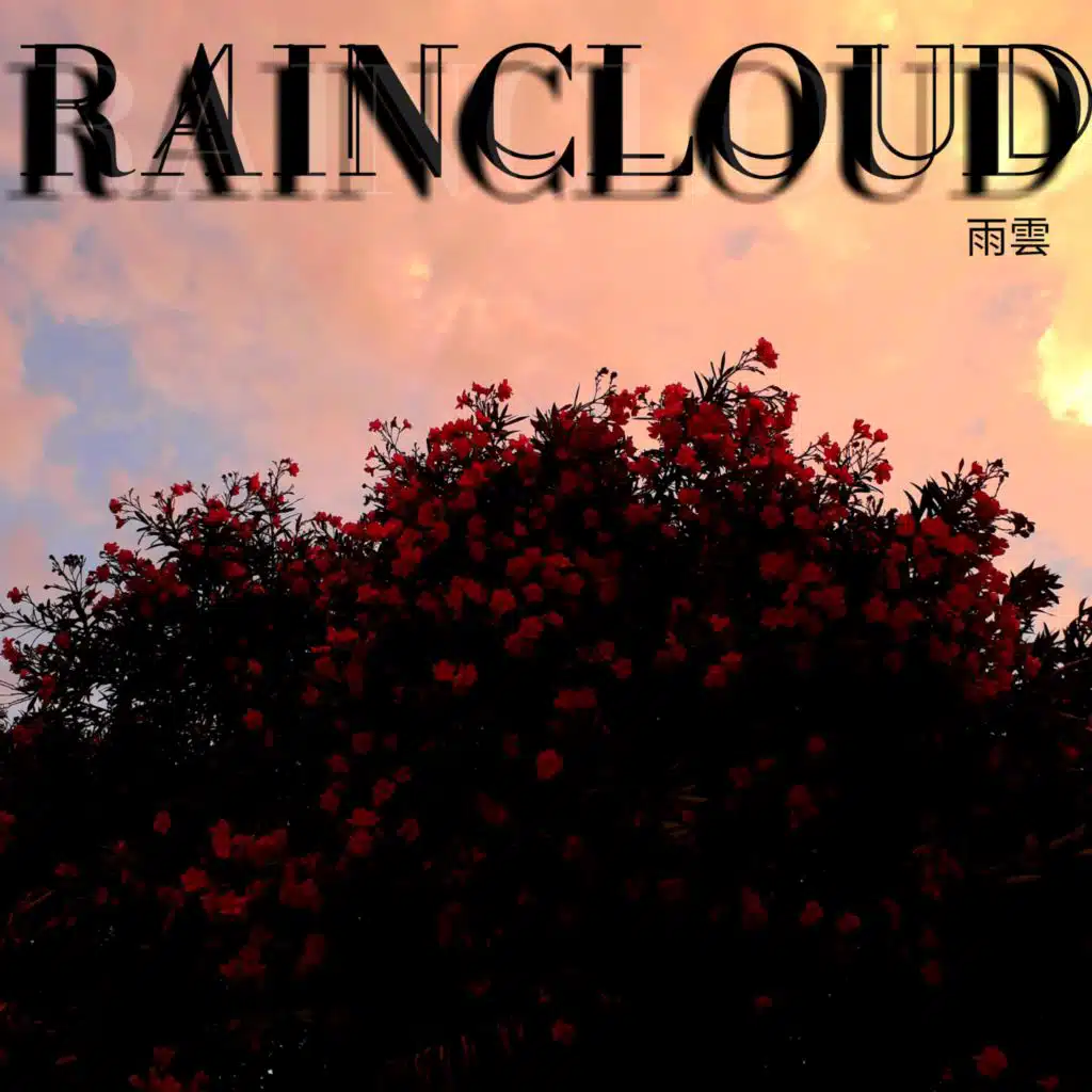 Raincloud