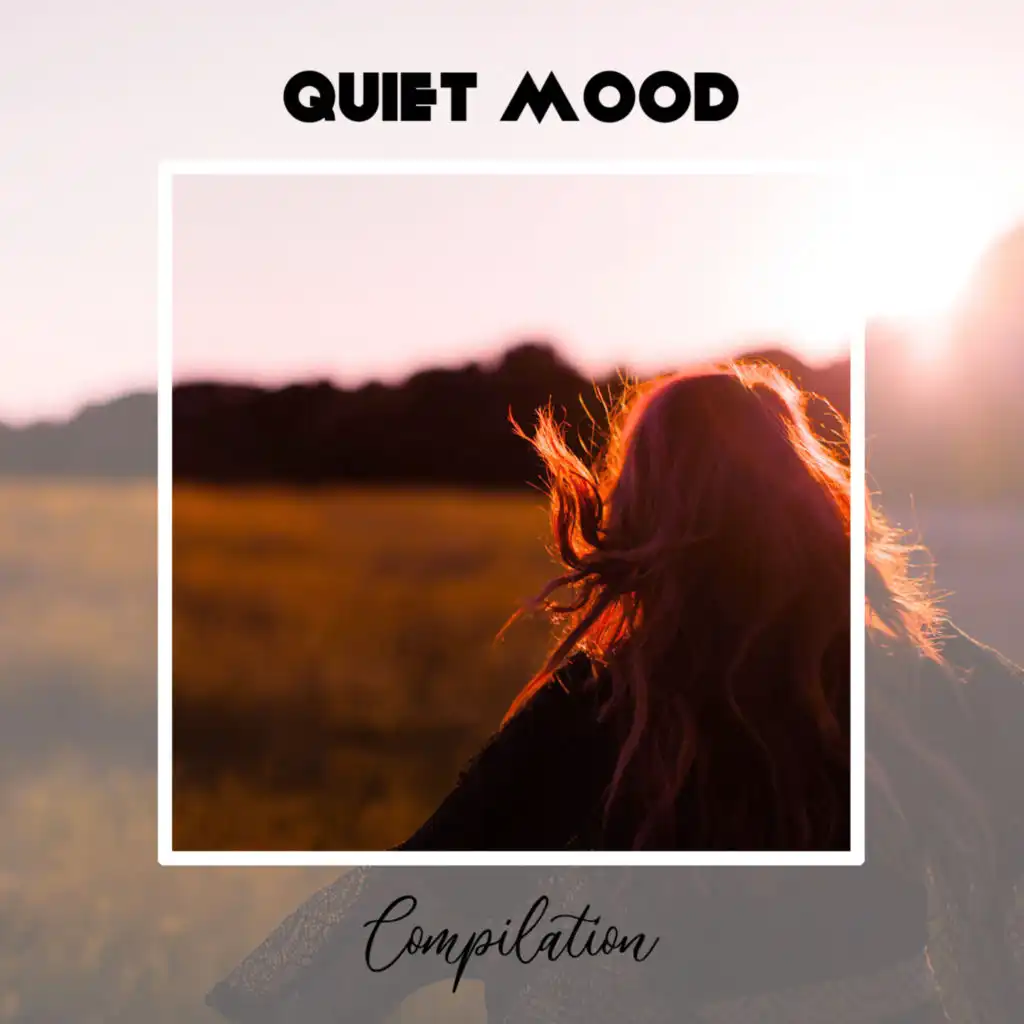 Quiet Mood Compilation