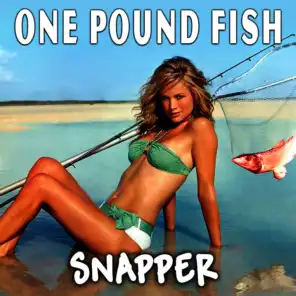 One Pound Fish - Single