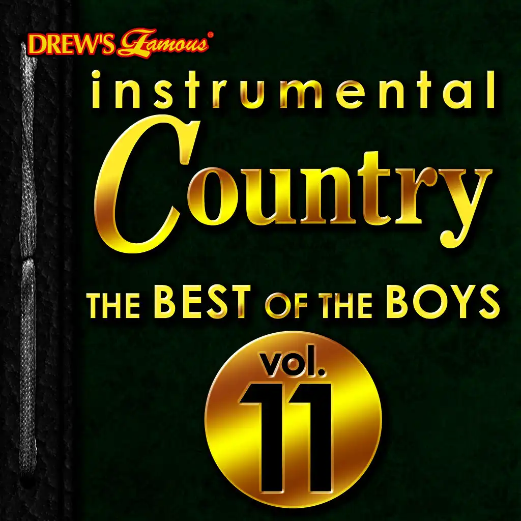 Instrumental Country: The Best of the Boys, Vol. 11