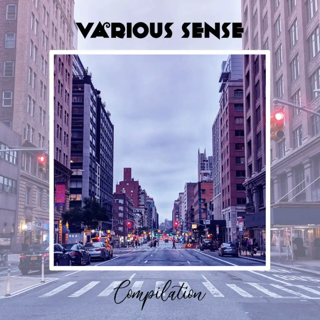 Various Sense Compilation