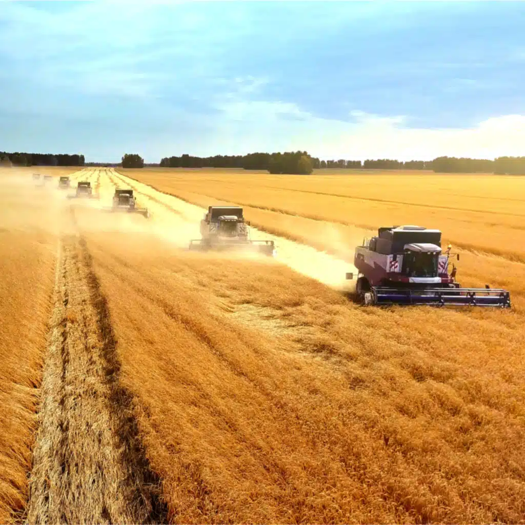 Bull Waves Don’t Break: What Rabobank’s Agri Commodity Market 2021 Outlook Means for Asia