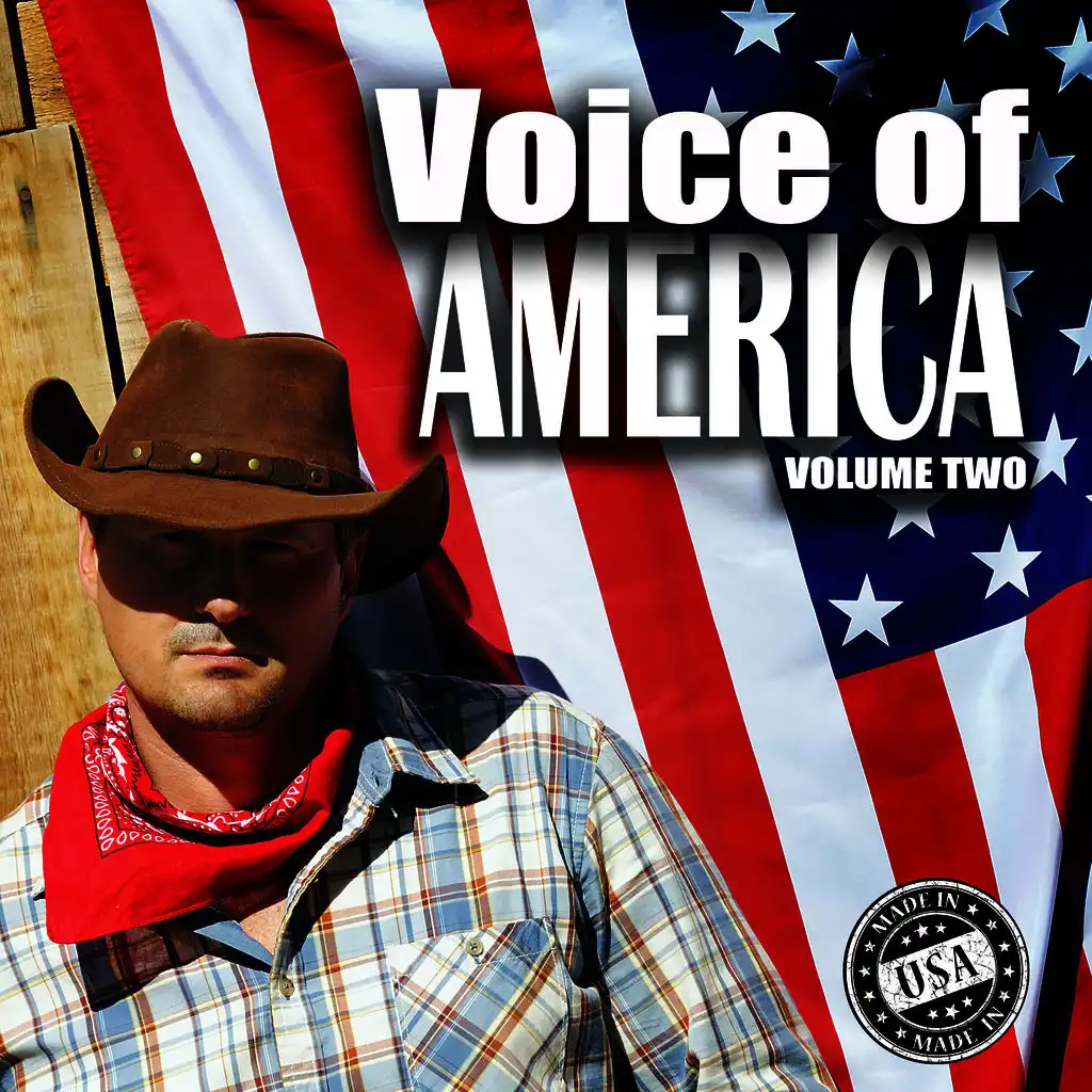 Voice of America, Vol. 2