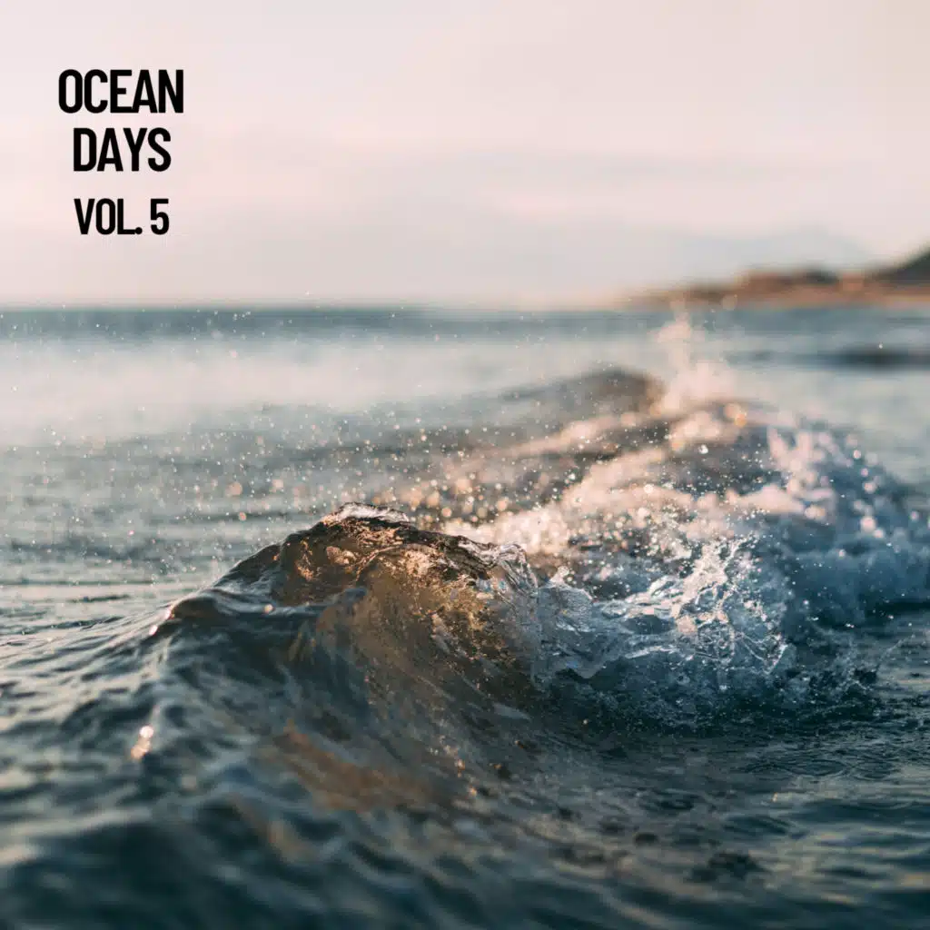 Ocean Nights