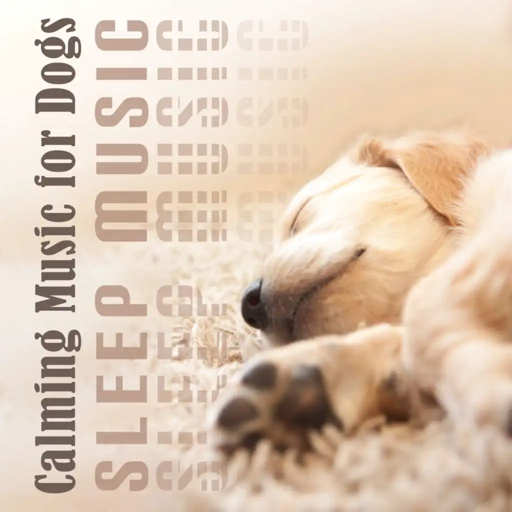 Calming Music for Dogs (Sleep Music for Dogs, Puppy Sleep Music, New Age Music for Relaxation and Stress Reduction)