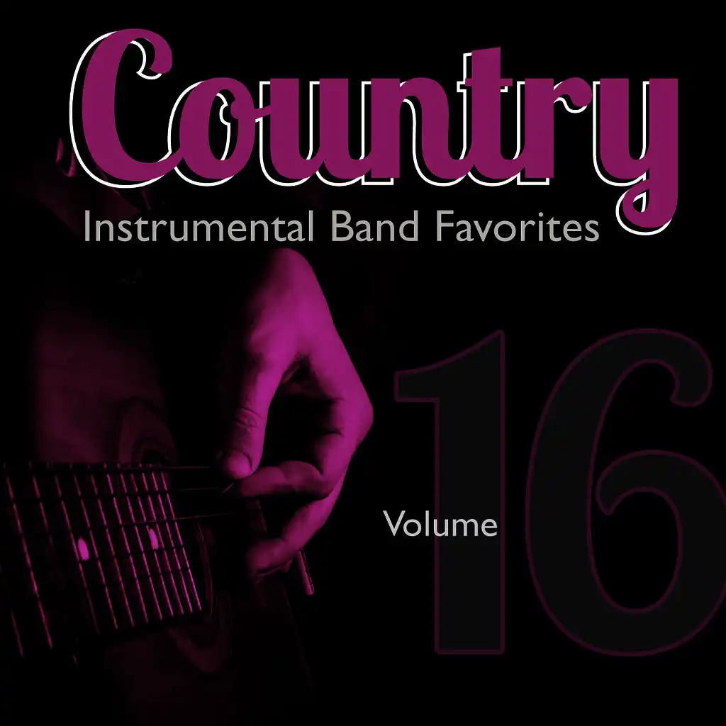 Country Instrumental Band Favorites, Vol. 16