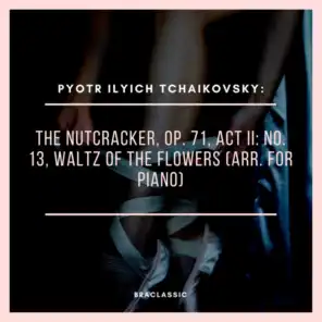 Pyotr Ilyich Tchaikovsky: the Nutcracker, Op. 71, Act II: No. 13, Waltz of the Flowers (Arr. for Piano)