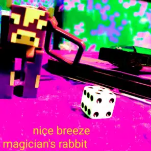 Magician's Rabbit