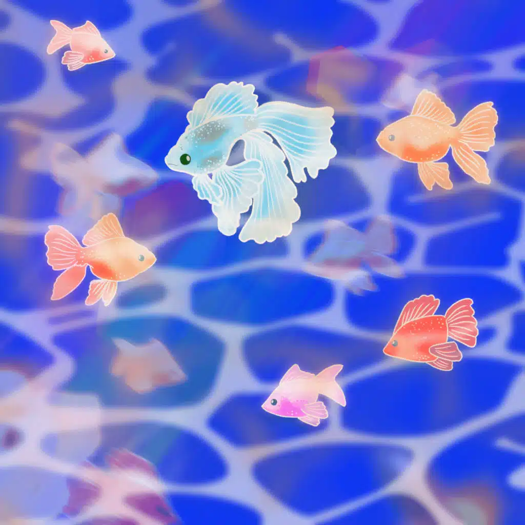 Lofi Music To Study To