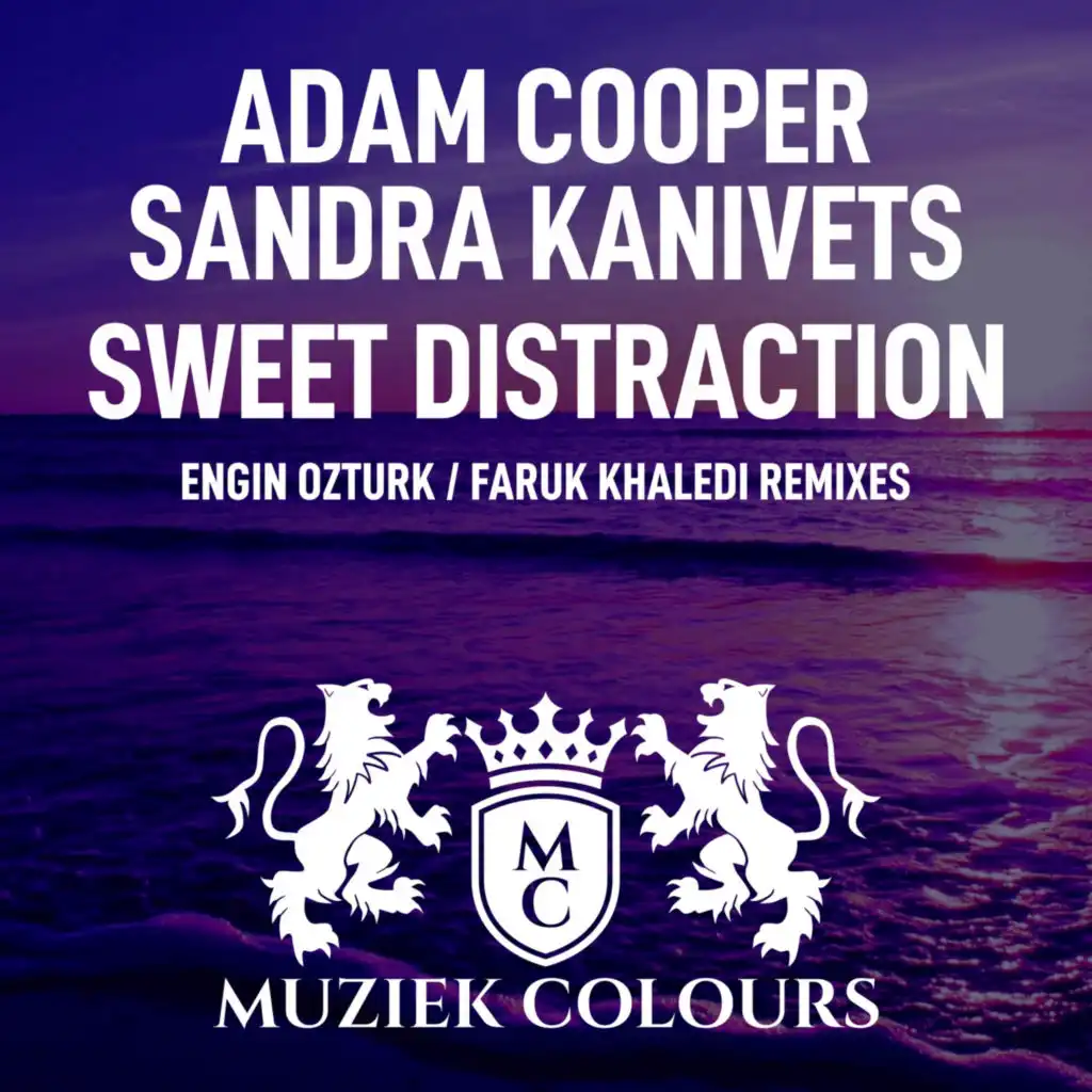 Sweet Distraction (Engin Ozturk Remix)