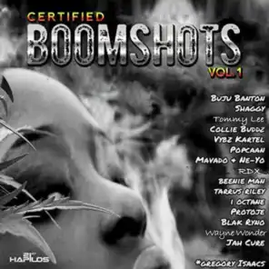 Certified Boomshots, Vol. 1