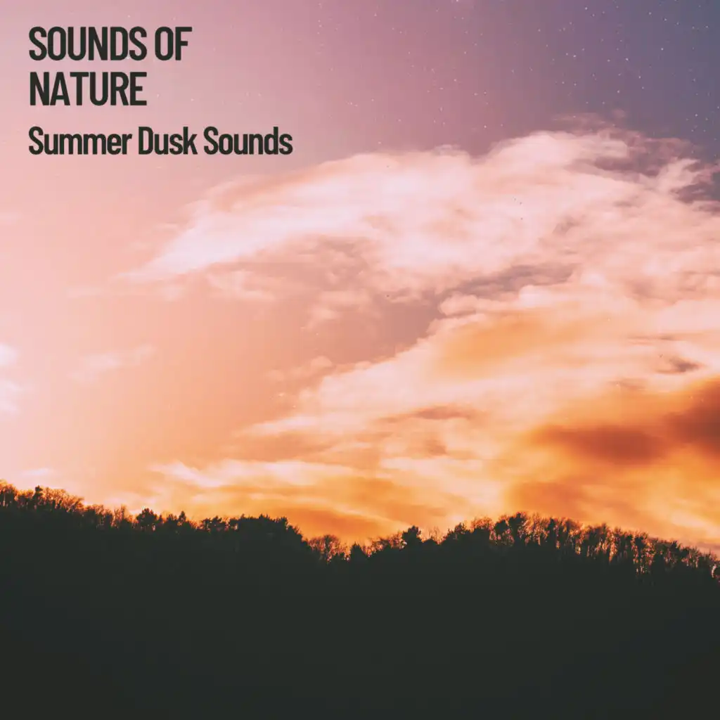 Sounds of Nature: Summer Dusk Sounds