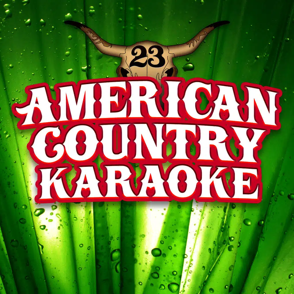 American Country Karaoke Hits, Volume 23