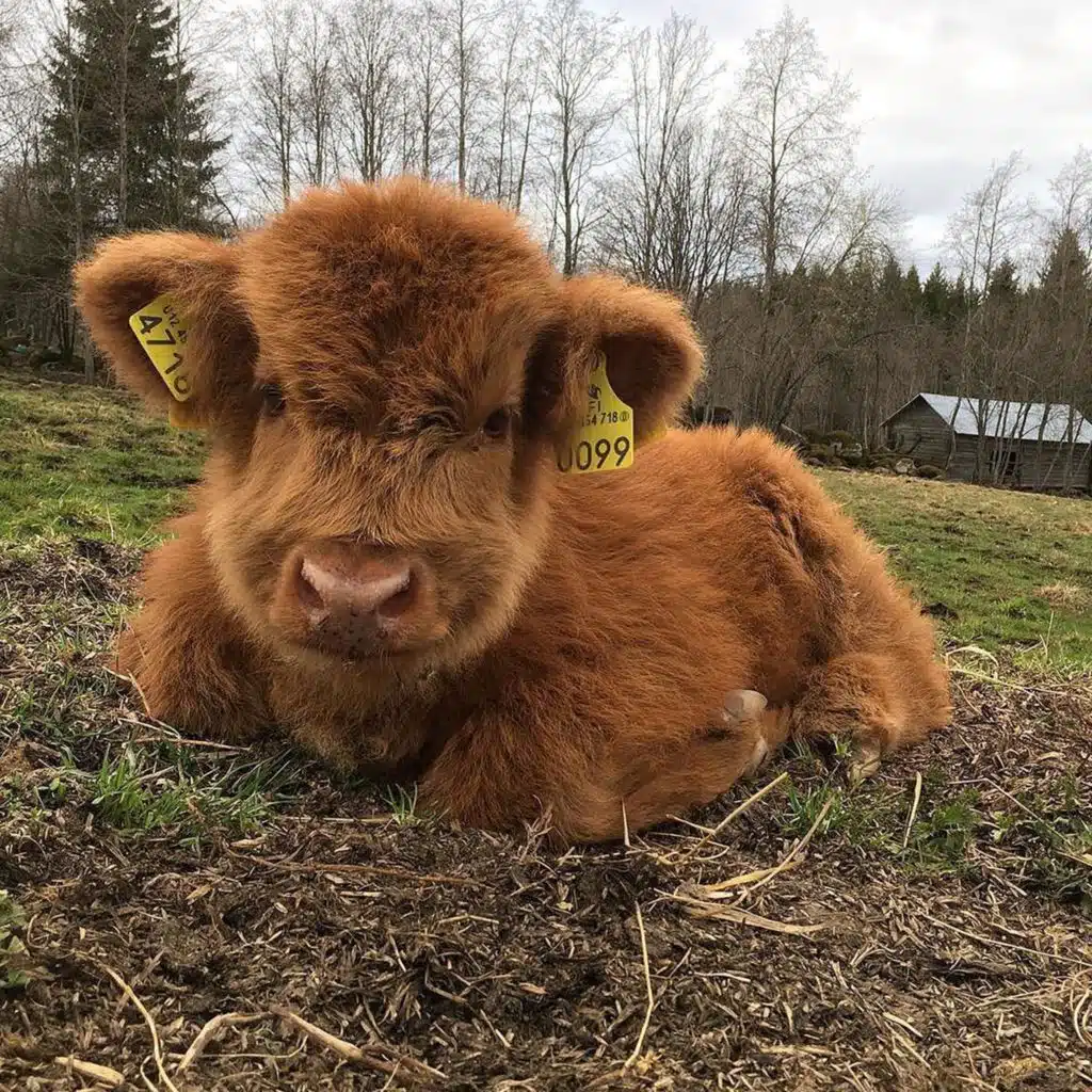 wthr (feat. alexx & 1boulevard)