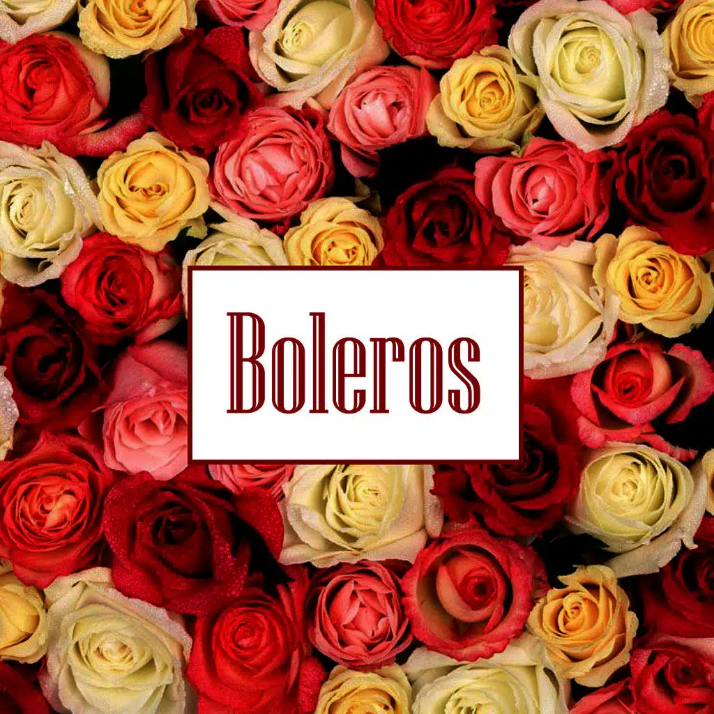 Boleros