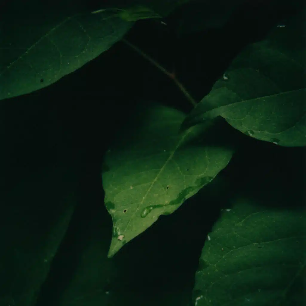 A few moments in which I was met with an experience that I might never have again