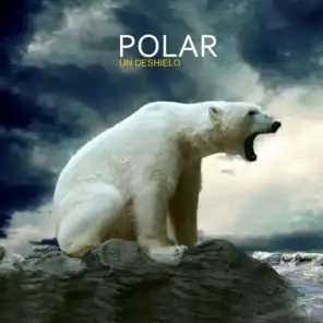 Polar (NL)
