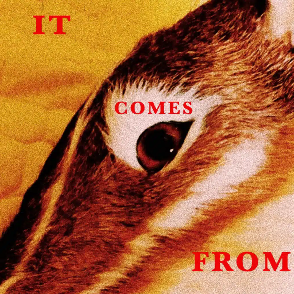 It Comes From