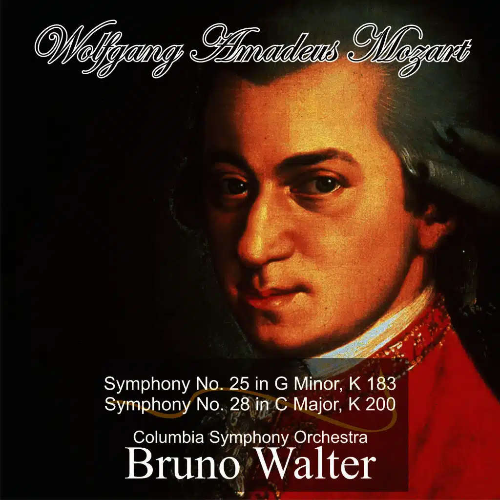 Symphony No. 25 in G Minor, K 183: I. Allegro con brio