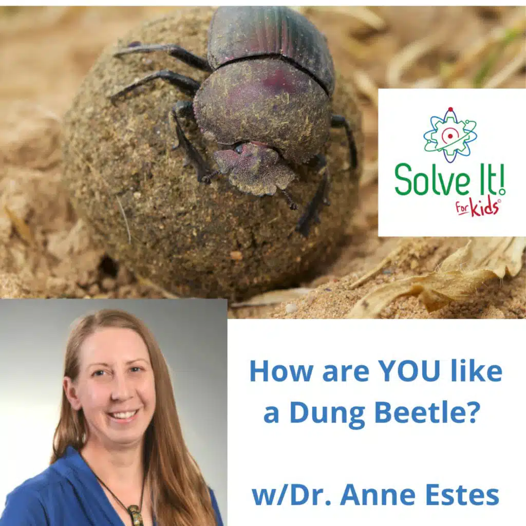 How are YOU Like a Dung Beetle?
