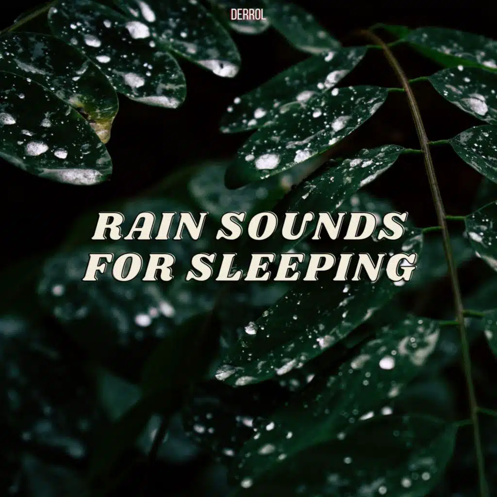 Rain to Fall Asleep