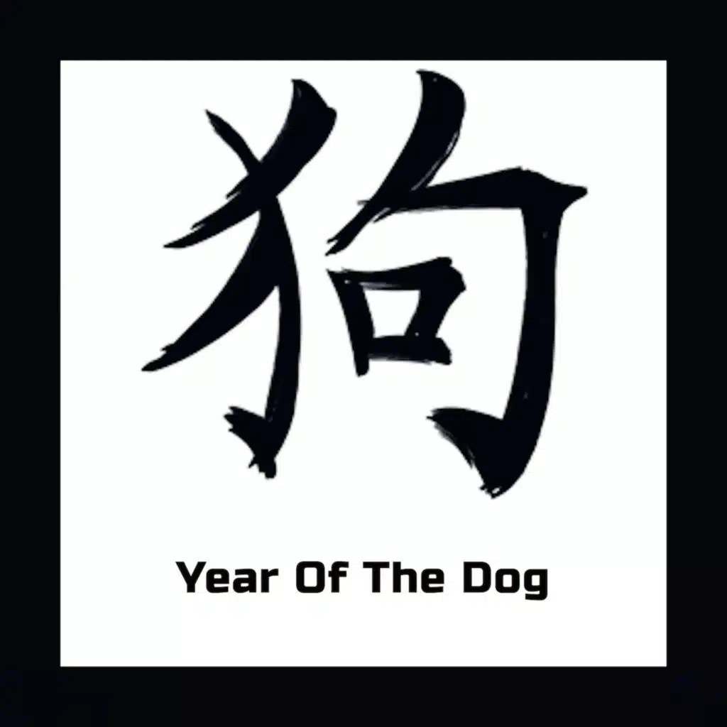 Year of the Cat
