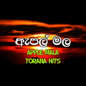 Apple Mala Torana Hits