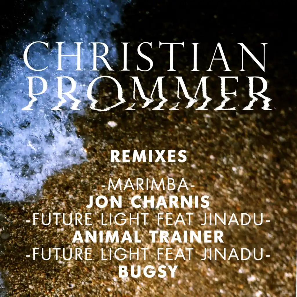 Future Light (Animal Trainer Remix) [feat. Bugsy & Jinadu]