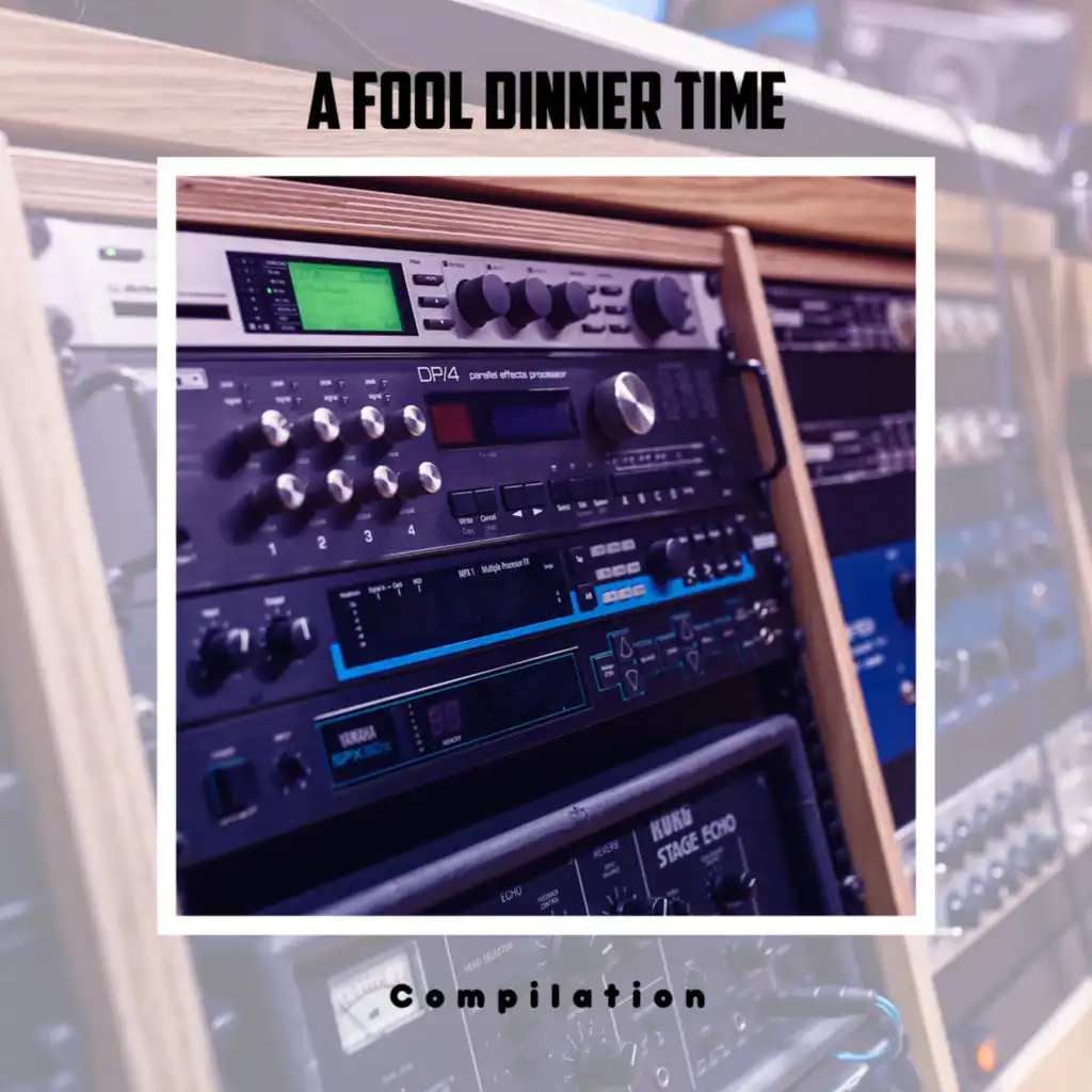 A Fool Dinner Time Compilation